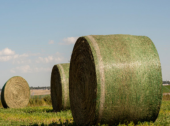 Bale Net Wrap visual 3
